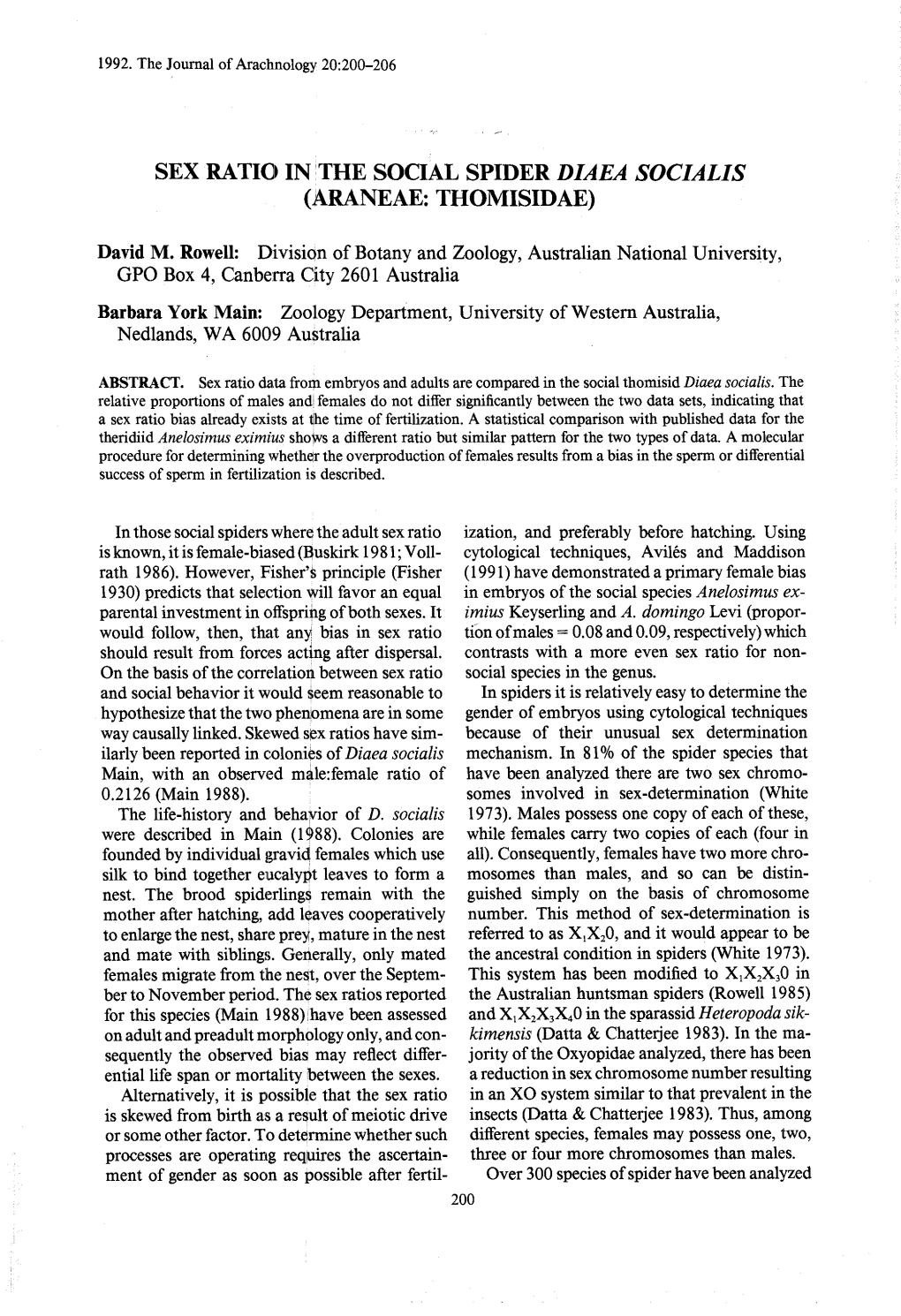 Sex Ratio in the Social Spider Diaea Socialis (Araneae: Thomisidae)