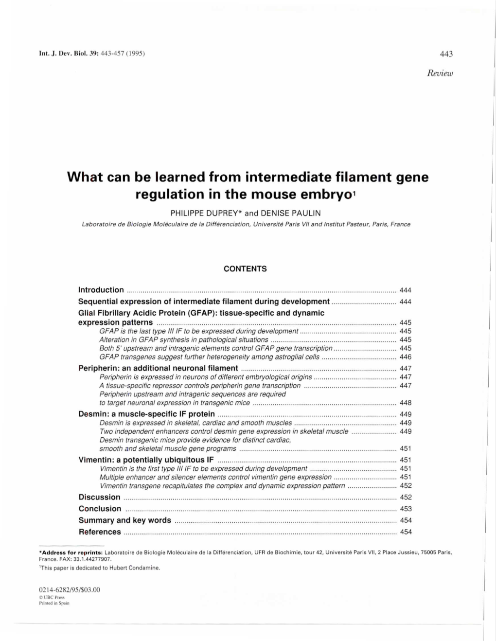 What Can Be Learned from Intermediate Filament Gene