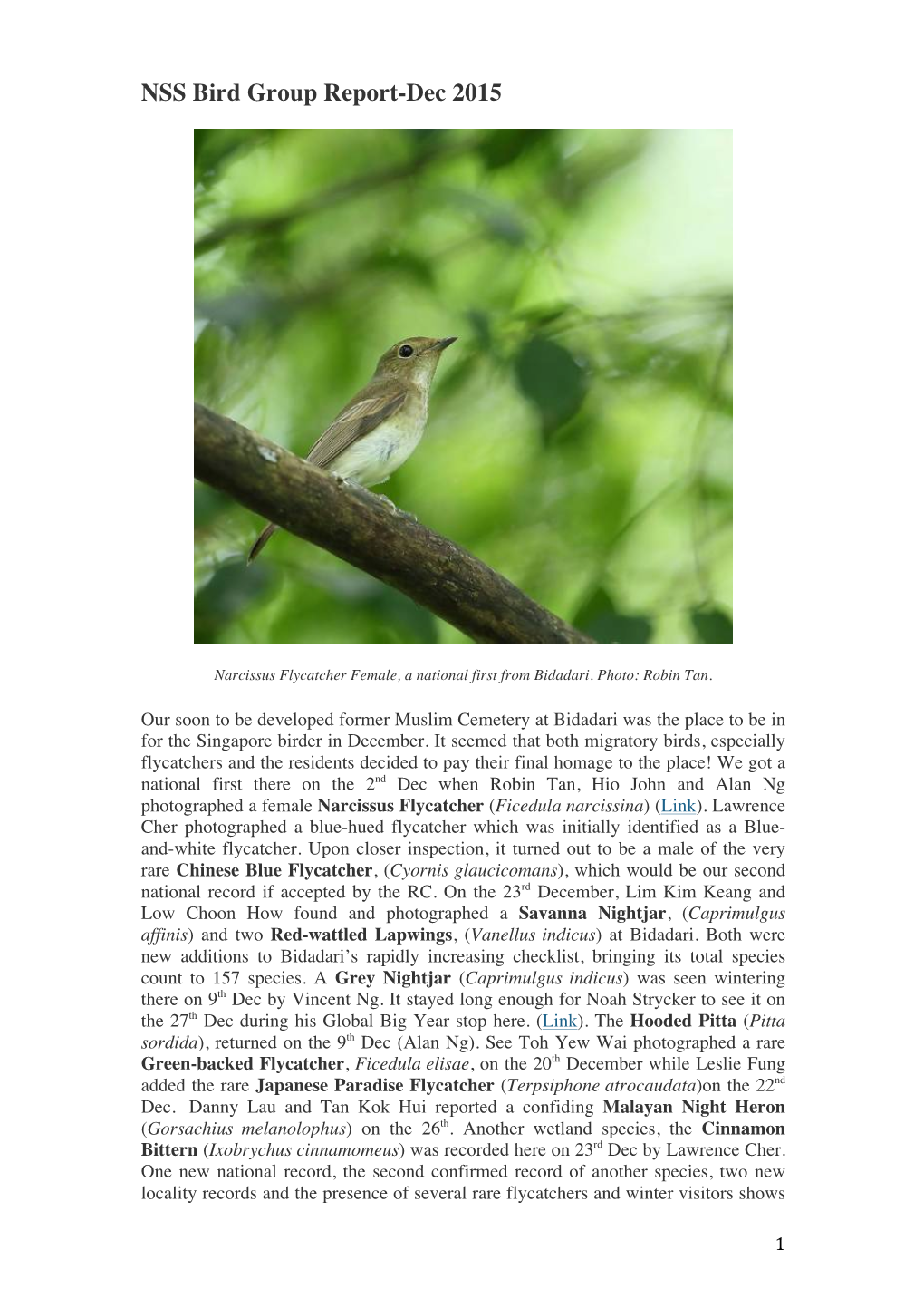 NSS Bird Group Report-Dec 2015