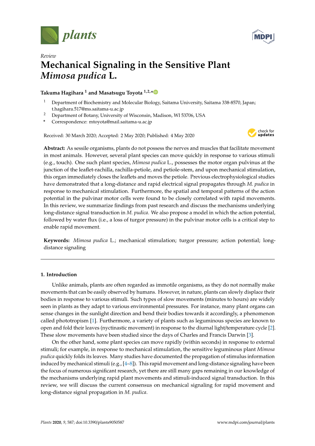 Mechanical Signaling in the Sensitive Plant Mimosa Pudica L