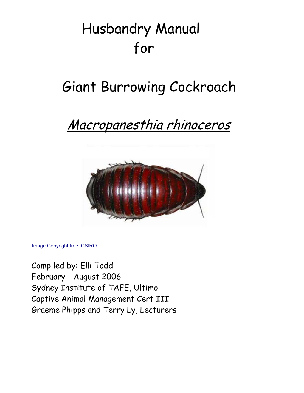 Husbandry Manual for Giant Burrowing Cockroach