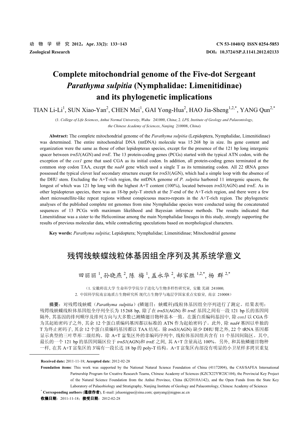 Complete Mitochondrial Genome of the Five-Dot Sergeant Parathyma