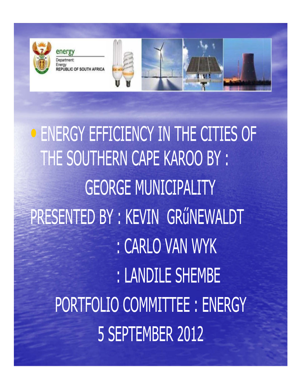 George Municipality Submission on Energy Efficiency