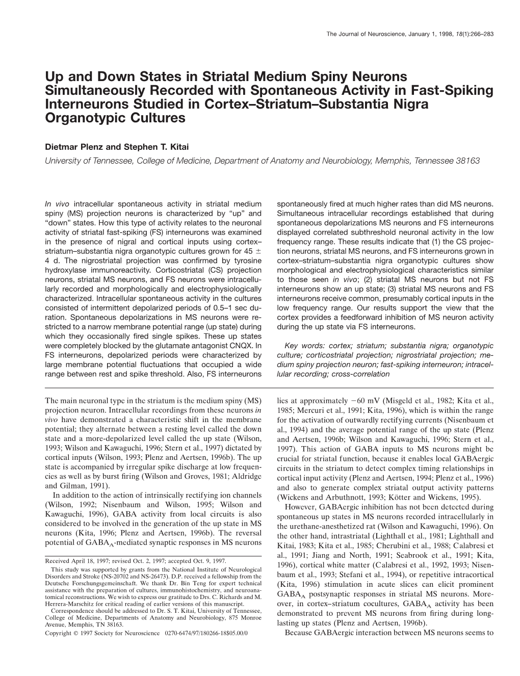 Up and Down States in Striatal Medium Spiny Neurons