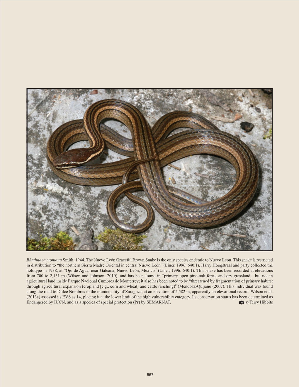 The Herpetofauna of Nuevo León, Mexico: Composition, Distribution, and Conservation