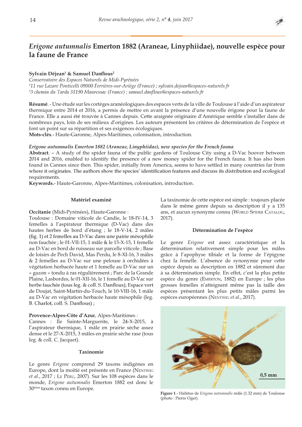 Erigone Autumnalis Emerton 1882 (Araneae, Linyphiidae), Nouvelle Espèce Pour La Faune De France