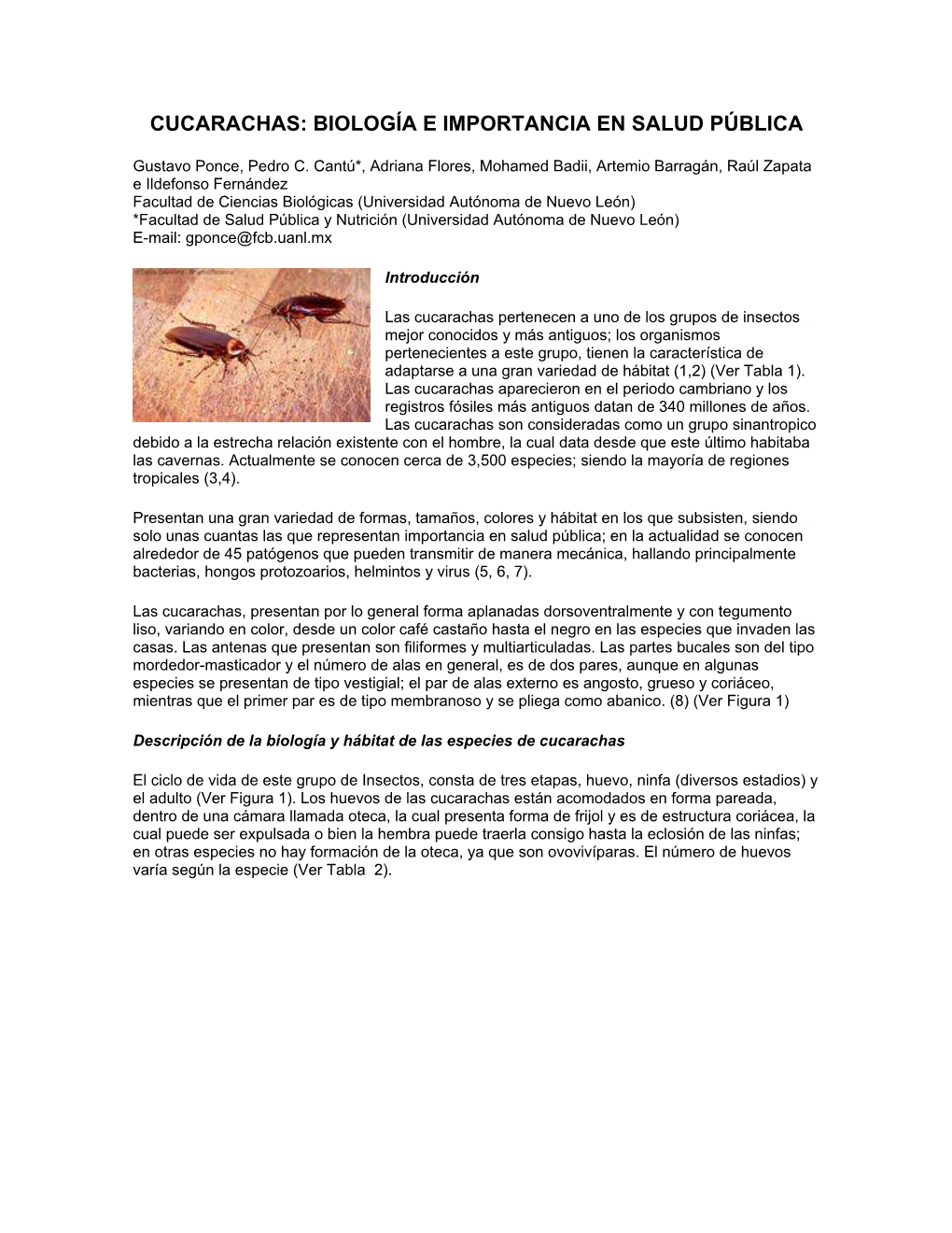 Cucarachas: Biología E Importancia En Salud Pública