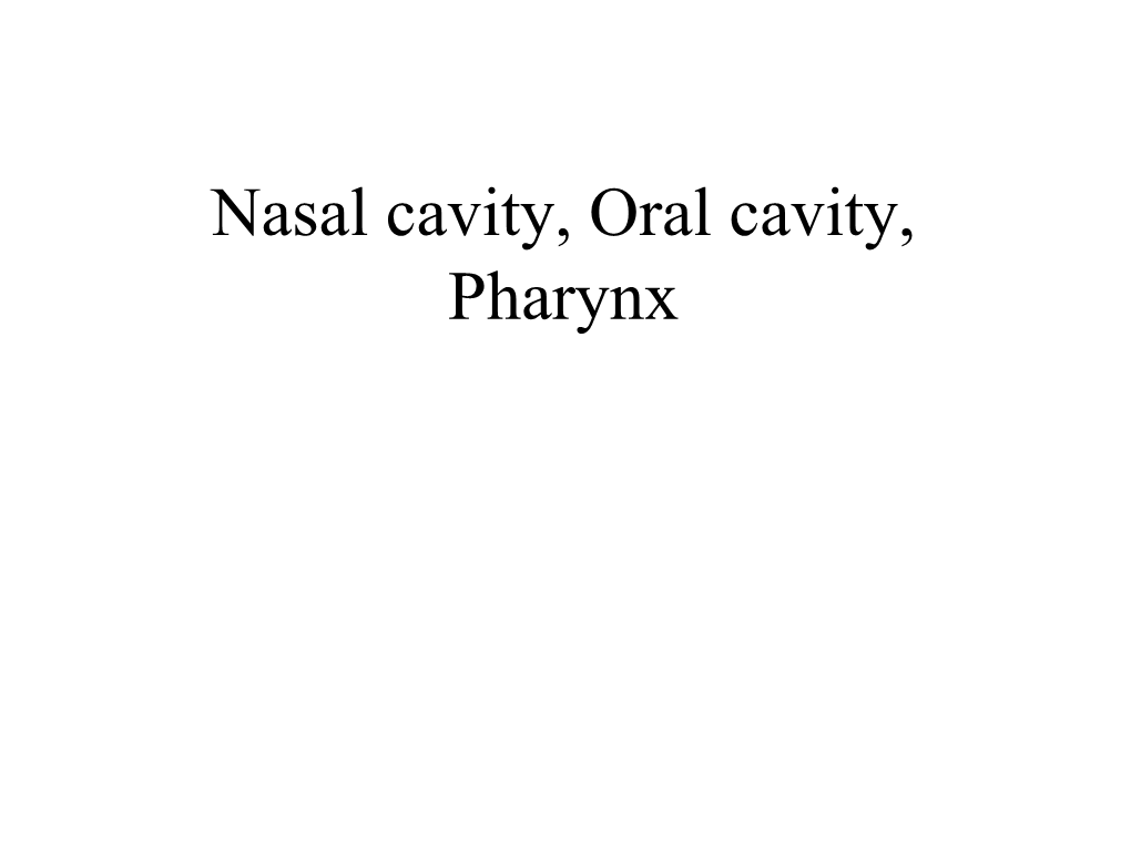 Nasal Cavity, Oral Cavity, Pharynx Oral Region