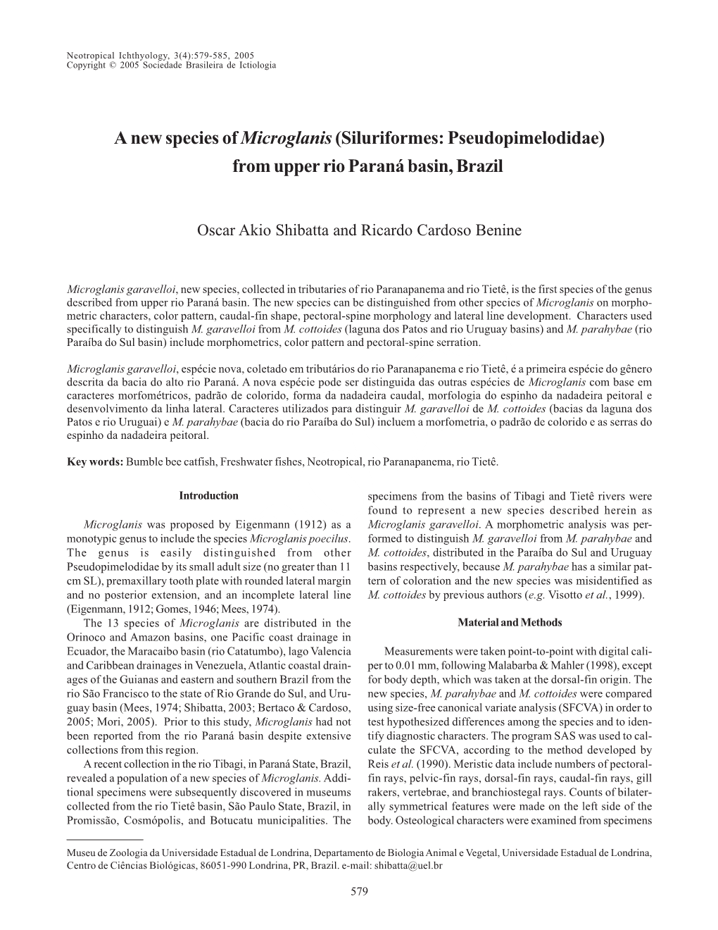 A New Species of Microglanis (Siluriformes: Pseudopimelodidae) from Upper Rio Paraná Basin, Brazil