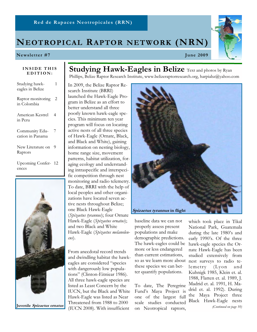 Studying Hawk-Eagles in Belize Text and Photos by Ryan