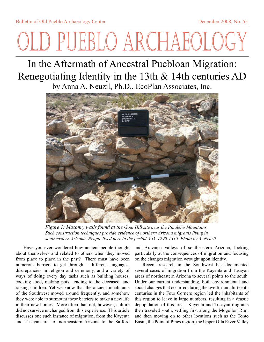 Aftermath of Ancestral Puebloan Migration: Renegotiating Identity in the 13Th & 14Th Centuries AD by Anna A