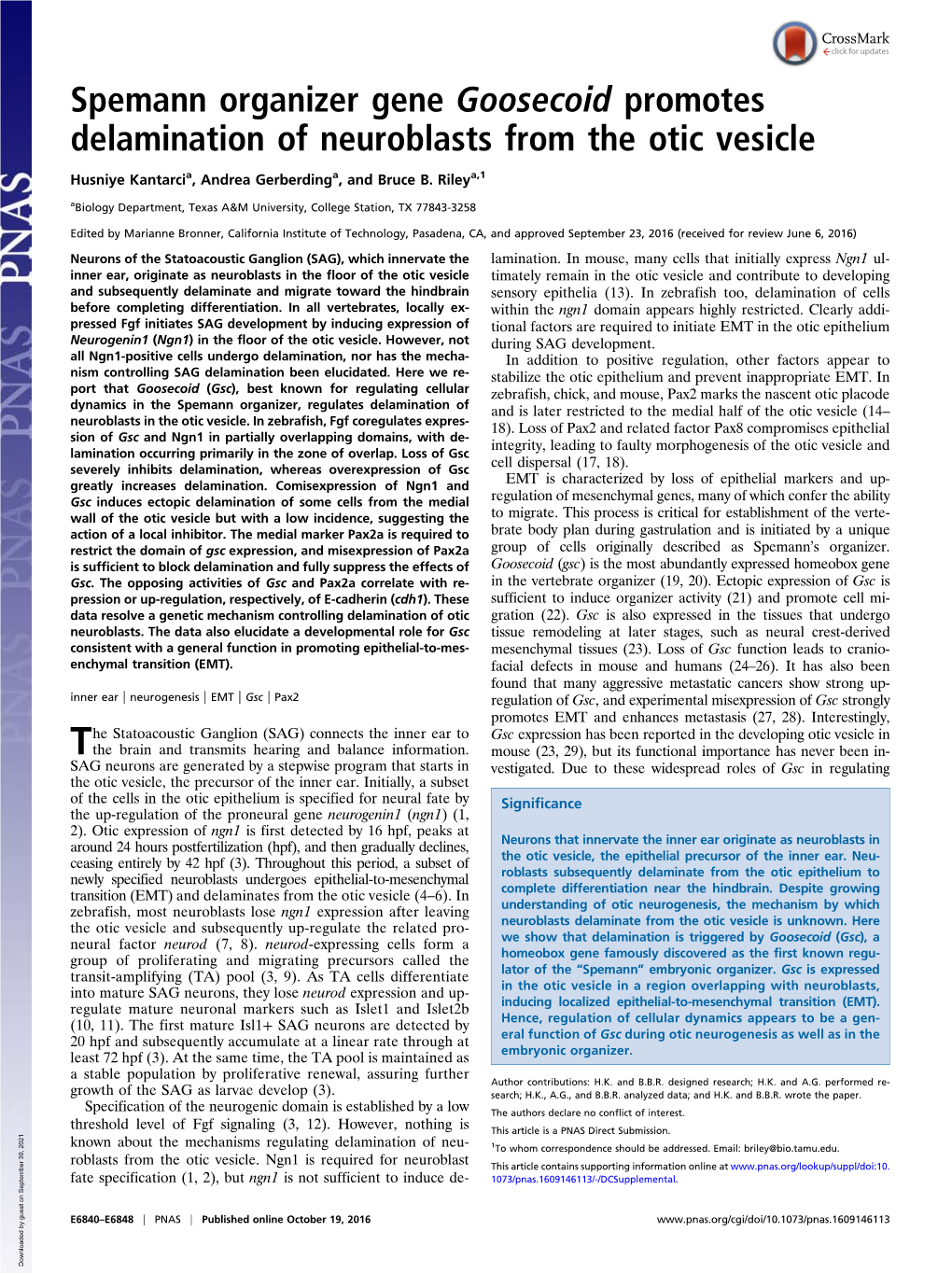 Spemann Organizer Gene Goosecoid Promotes Delamination of Neuroblasts from the Otic Vesicle