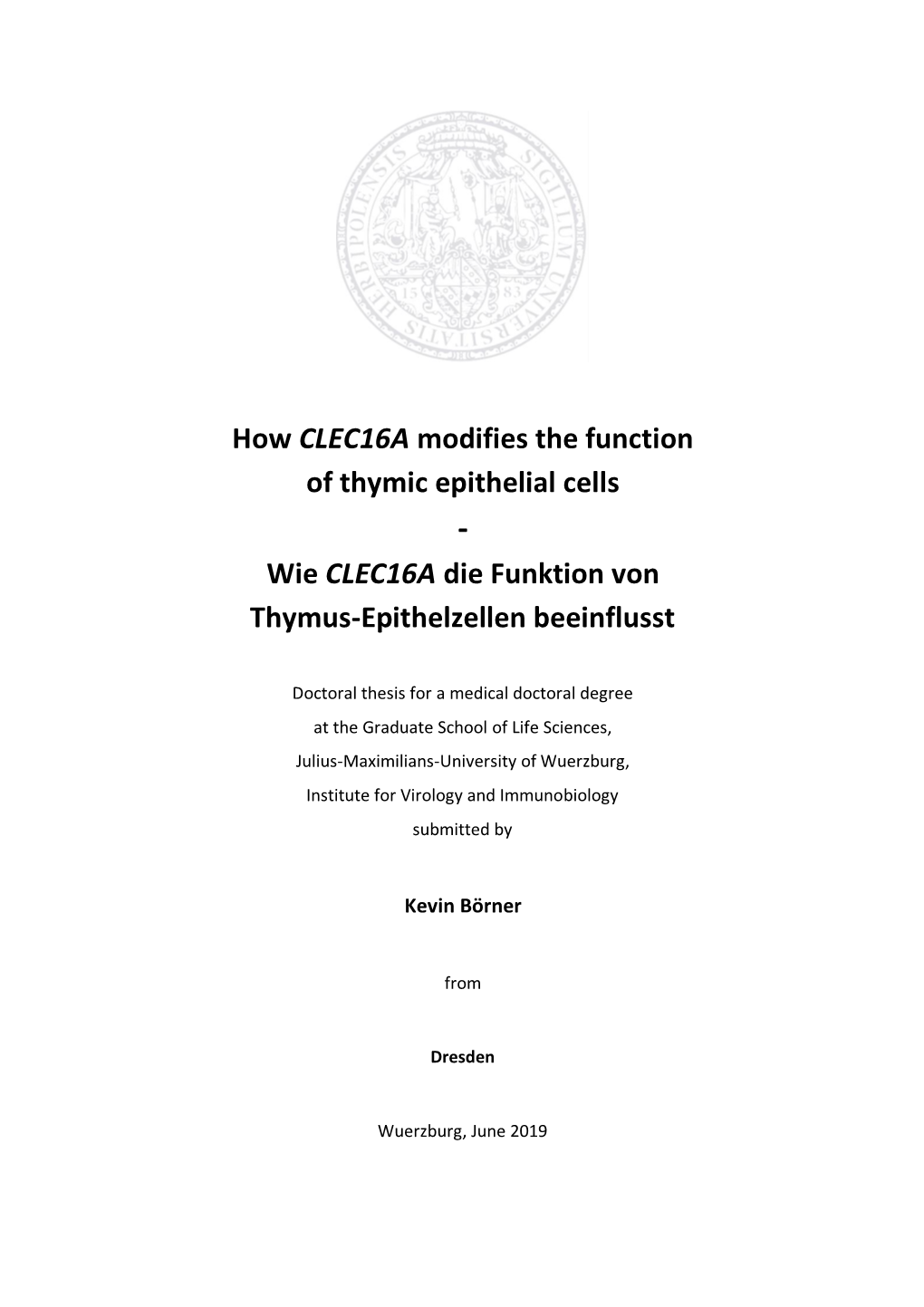 How CLEC16A Modifies the Function of Thymic Epithelial Cells - Wie CLEC16A Die Funktion Von Thymus-Epithelzellen Beeinflusst