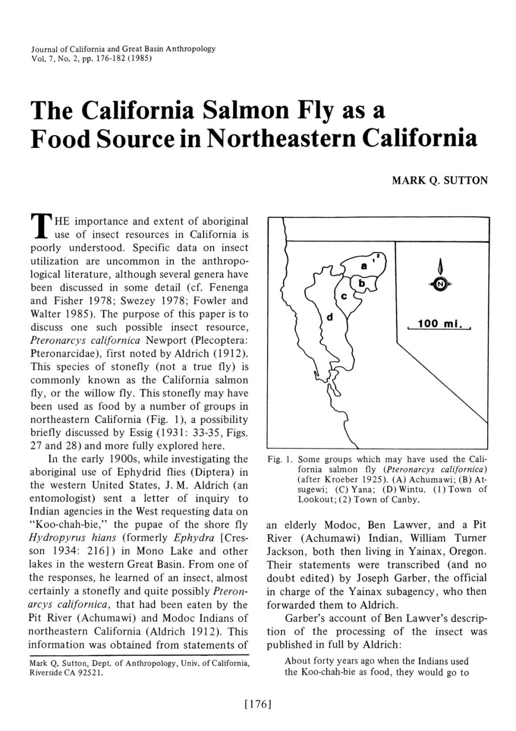 The California Salmon Fly As a Food Source in Northeastern California