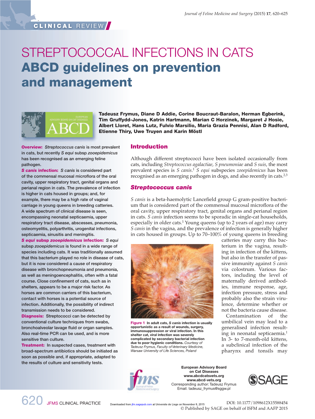 STREPTOCOCCAL INFECTIONS in CATS ABCD Guidelines on Prevention and Management