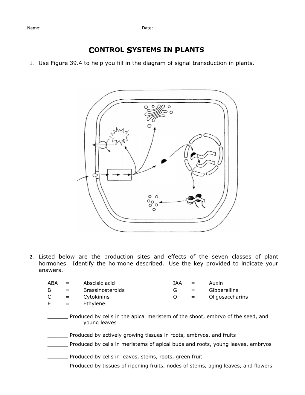 Control Systems in Plants