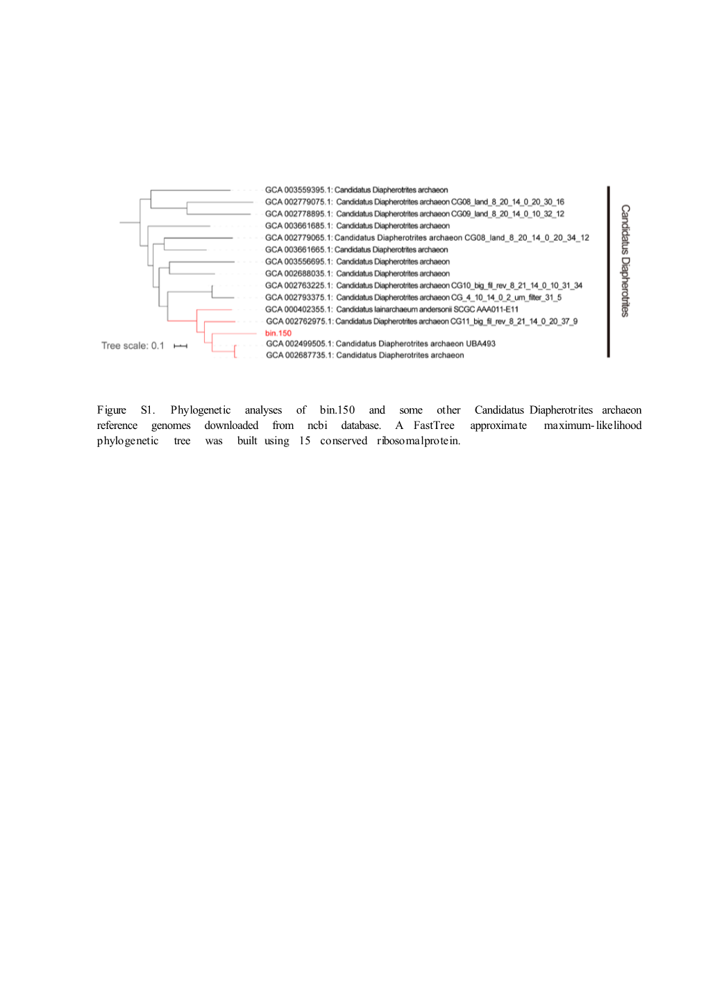 Figure S1. Phylogenetic Analyses of Bin.150 and Some Other Candidatus Diapherotrites Archaeon Reference Genomes Downloaded from Ncbi Database