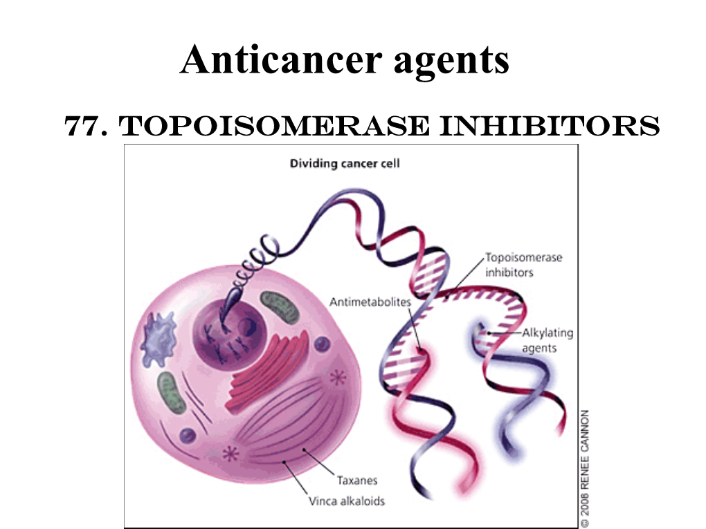 Anticancer Agents 77
