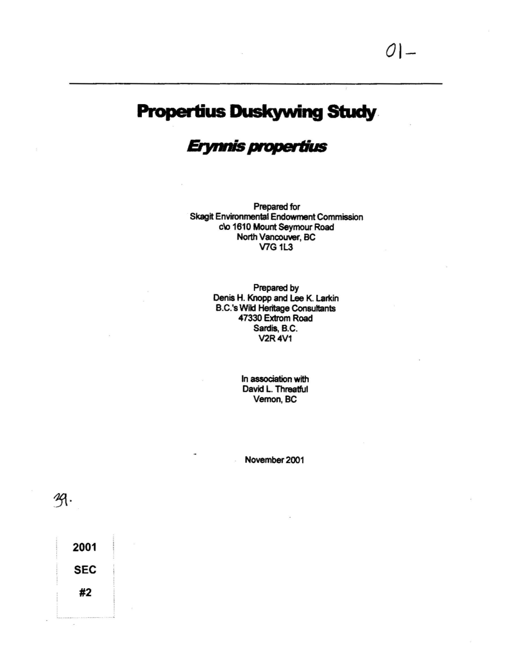 Propertius Duskywing Study