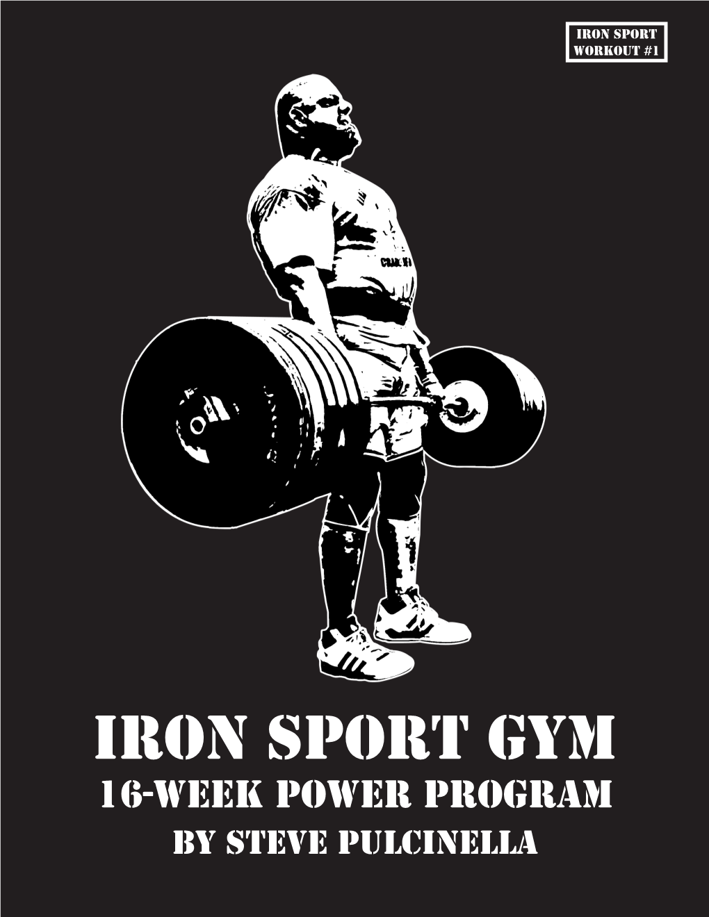 Iron Sport Gym 505 S. Chester Pike Glenolden, Pennsylvania 19036