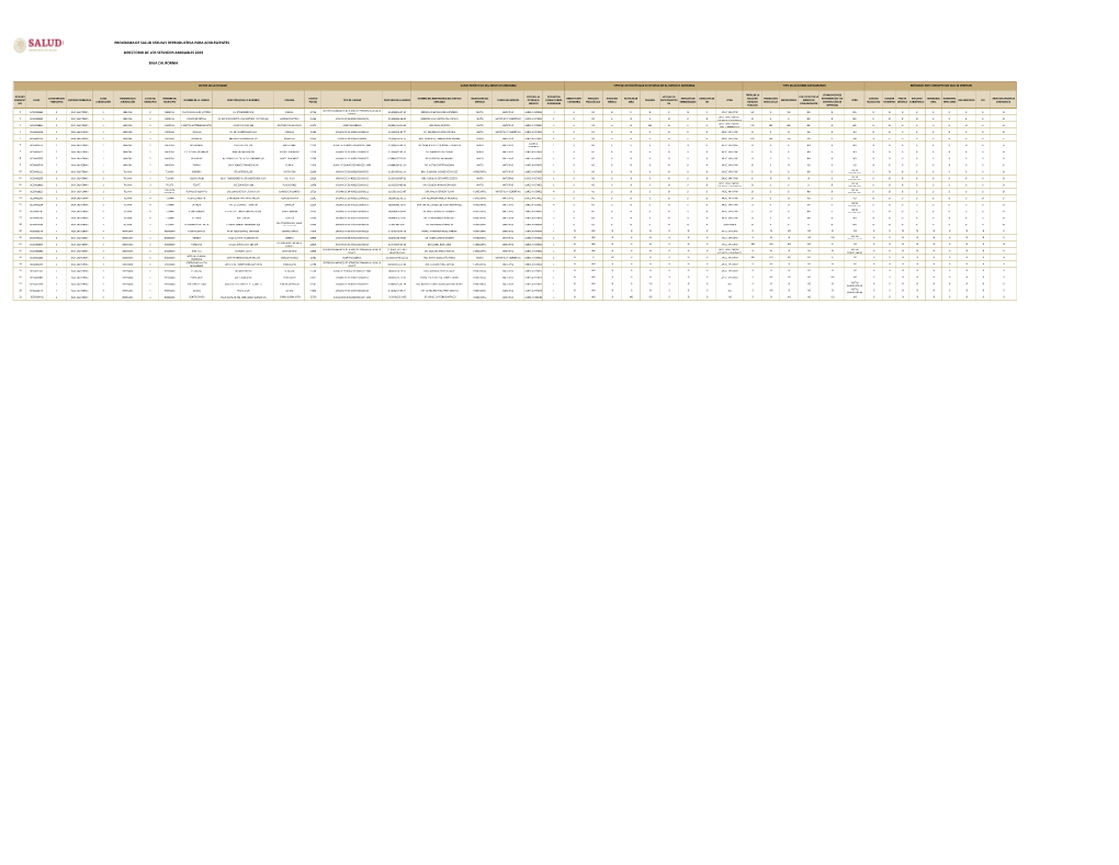 Directorio SA 2019 Instituciones.Xlsx