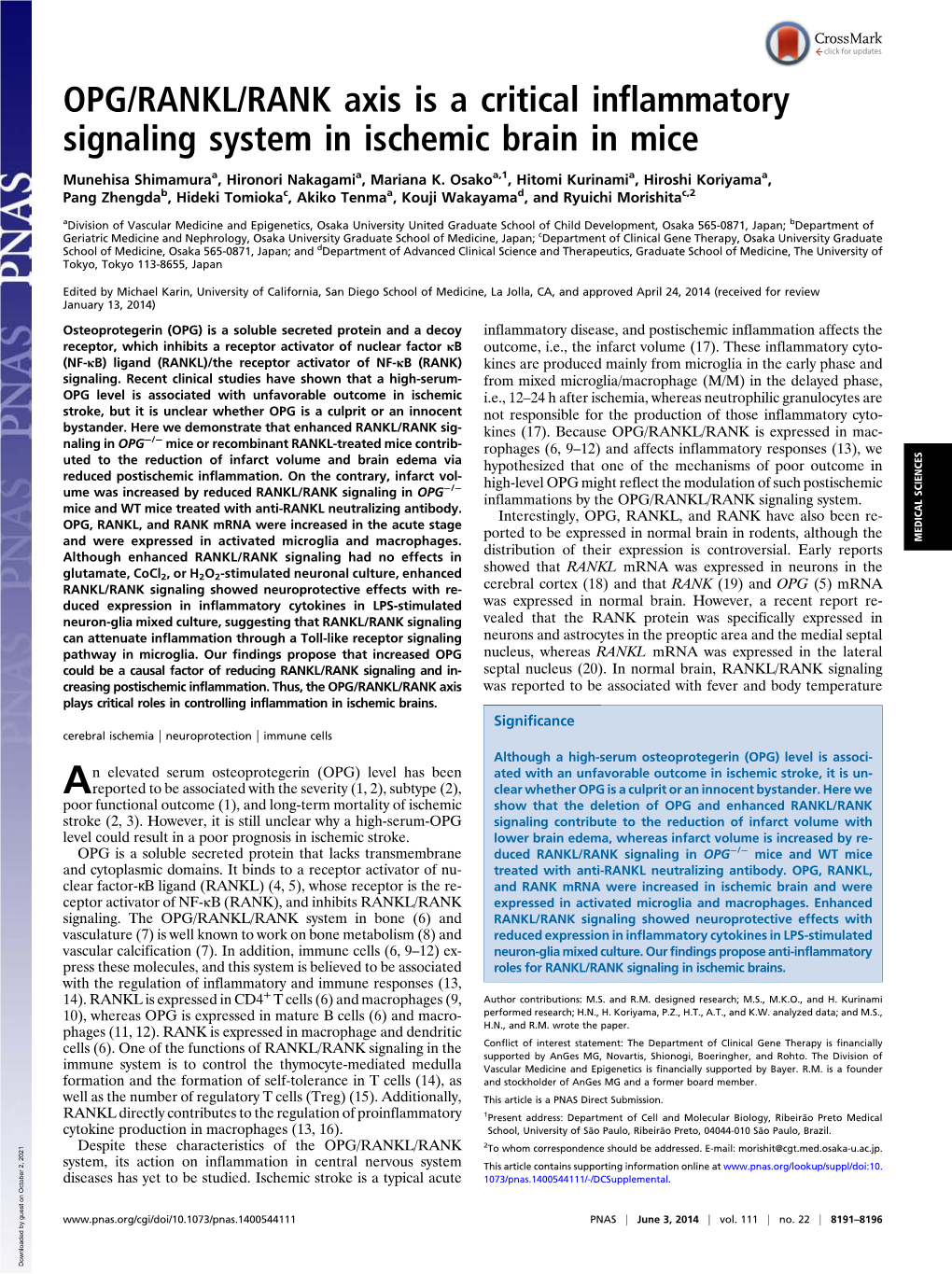 OPG/RANKL/RANK Axis Is a Critical Inflammatory Signaling System in Ischemic Brain in Mice