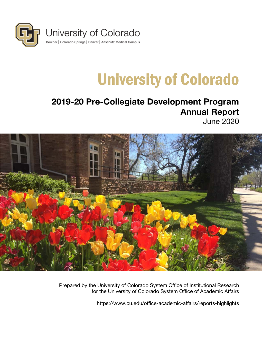 Pre-Collegiate Development Program Report