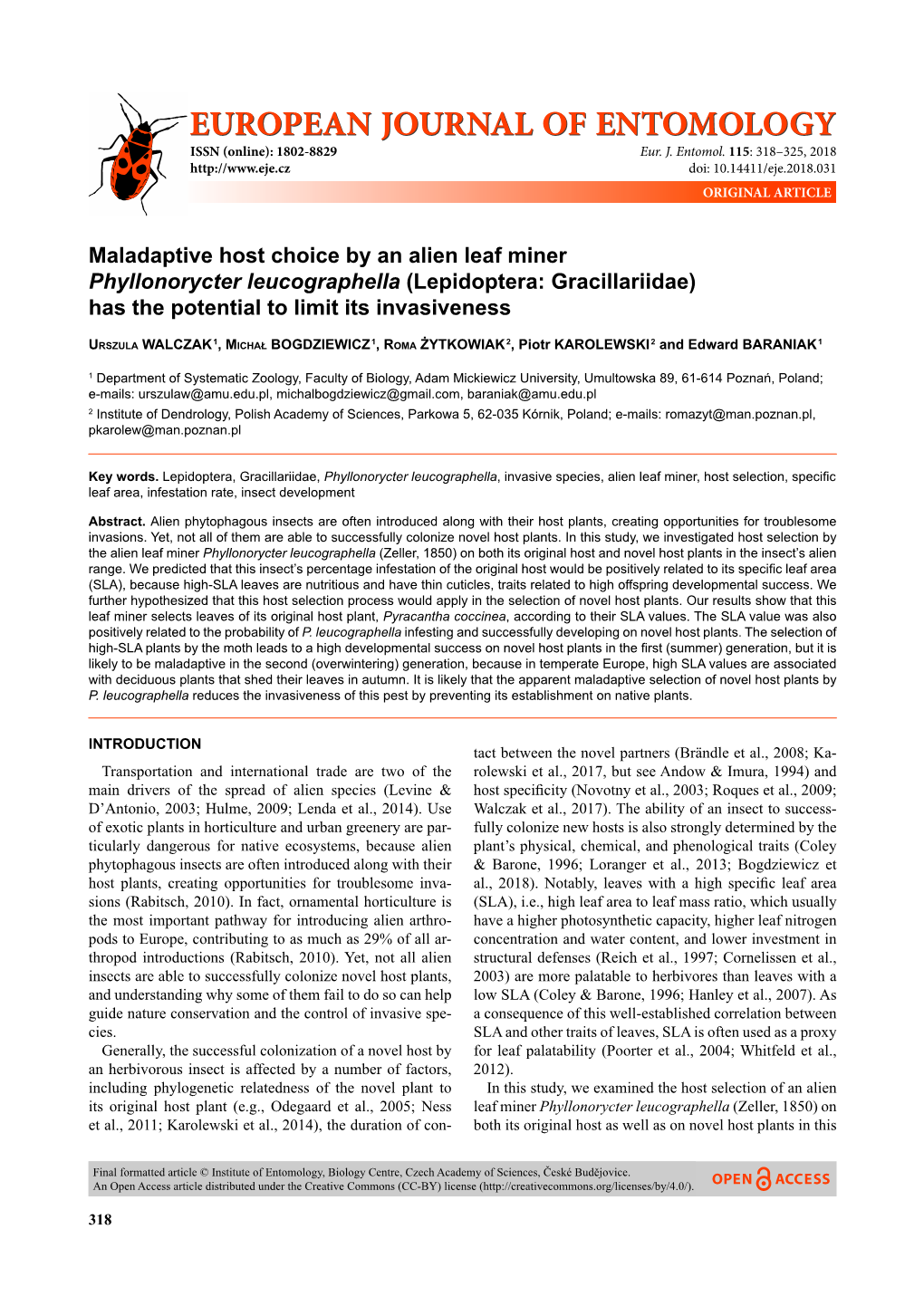 Lepidoptera: Gracillariidae) Has the Potential to Limit Its Invasiveness