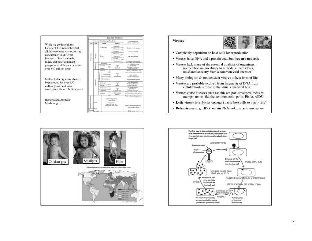 Evolution of Viruses and Prokaryotes