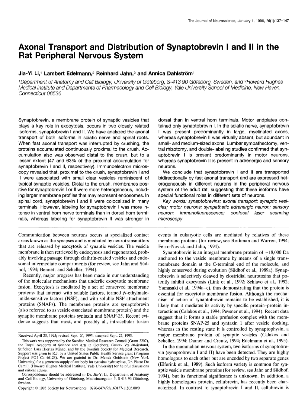 Axonal Transport and Distribution of Synaptobrevin I and II in the Rat Peripheral Nervous System