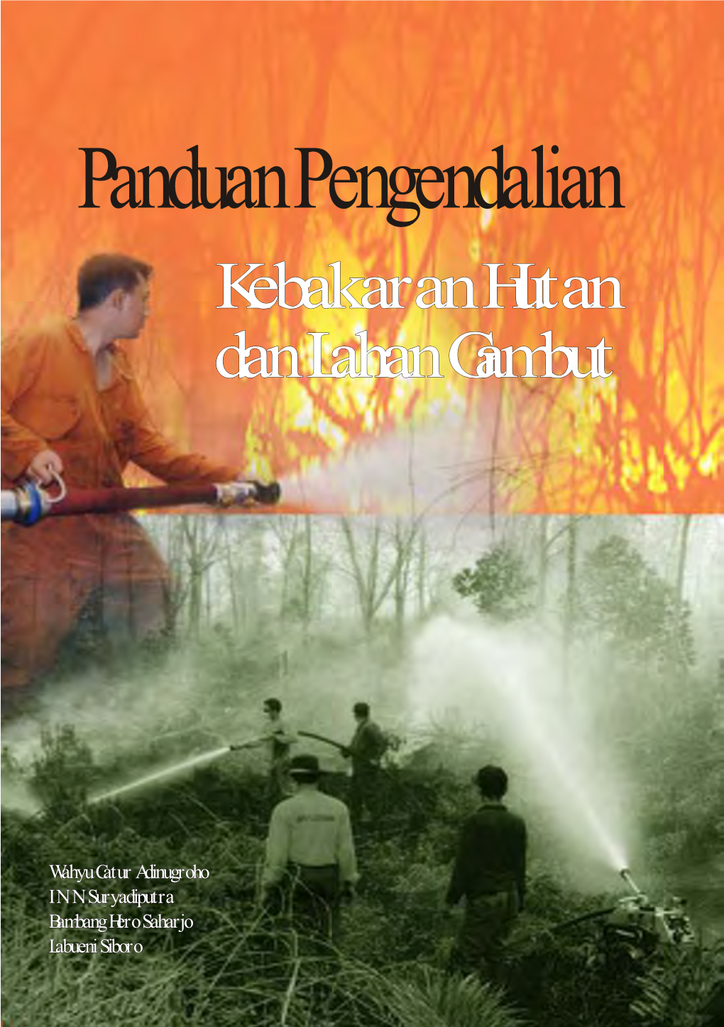 Kebakaran Hutan Dan Lahan Gambut