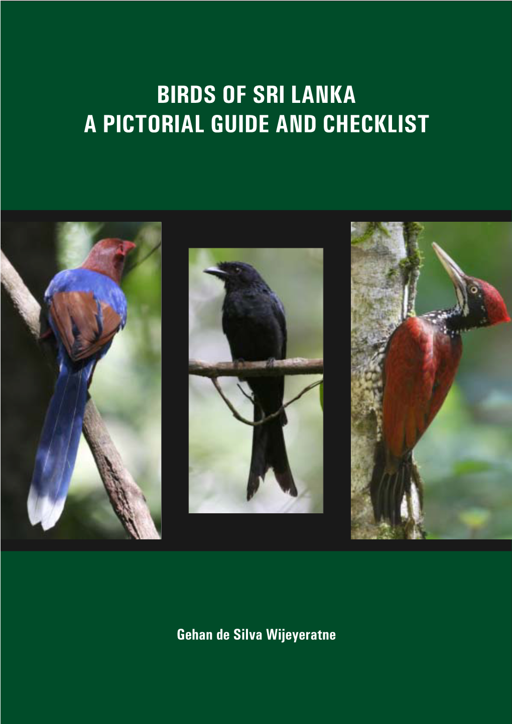 Birds of Sri Lanka a Pictorial Guide and Checklist
