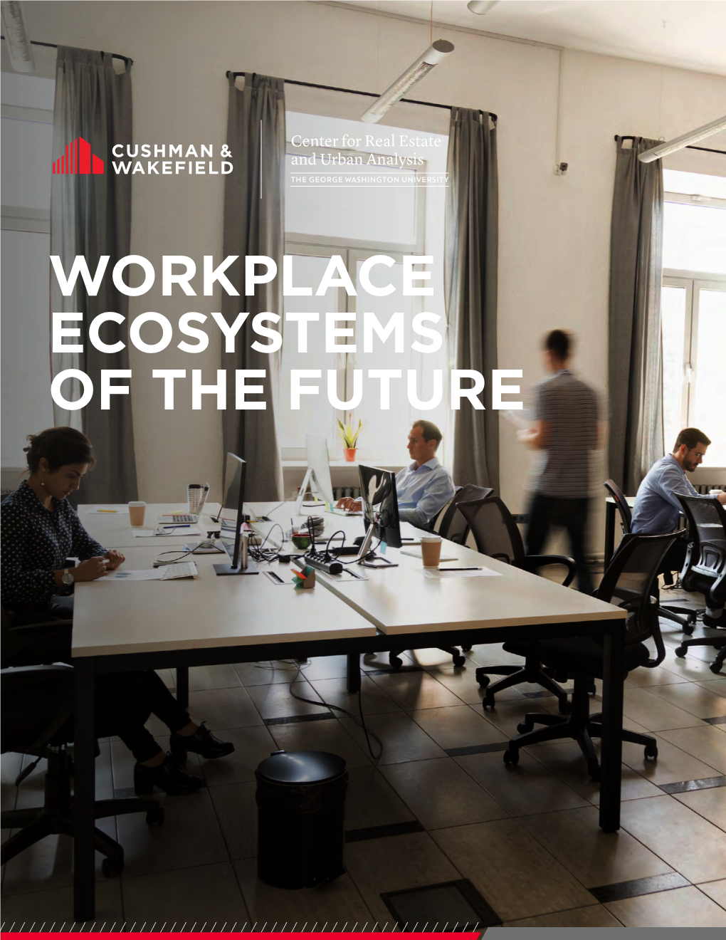 WORKPLACE ECOSYSTEMS of the FUTURE David C