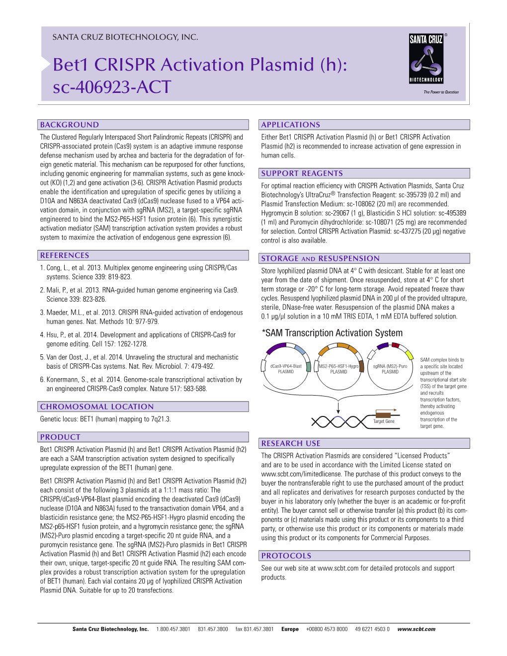Bet1 CRISPR Activation Plasmid (H): Sc-406923-ACT