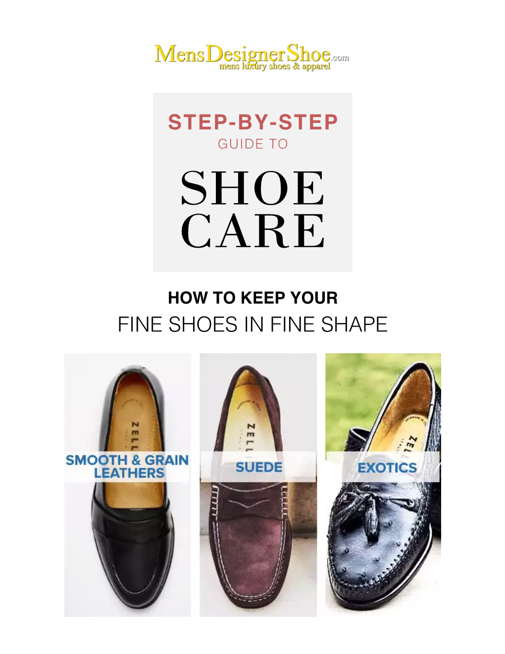 Guide to Shoe Care