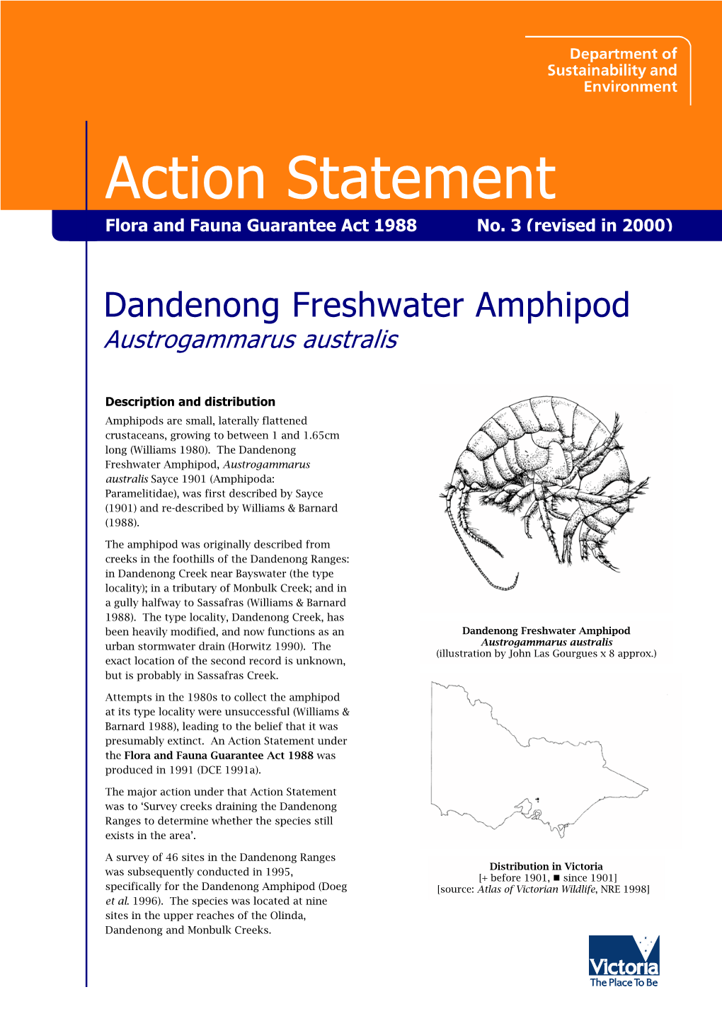 Dandenong Freshwater Amphipod-(Austrogammarus