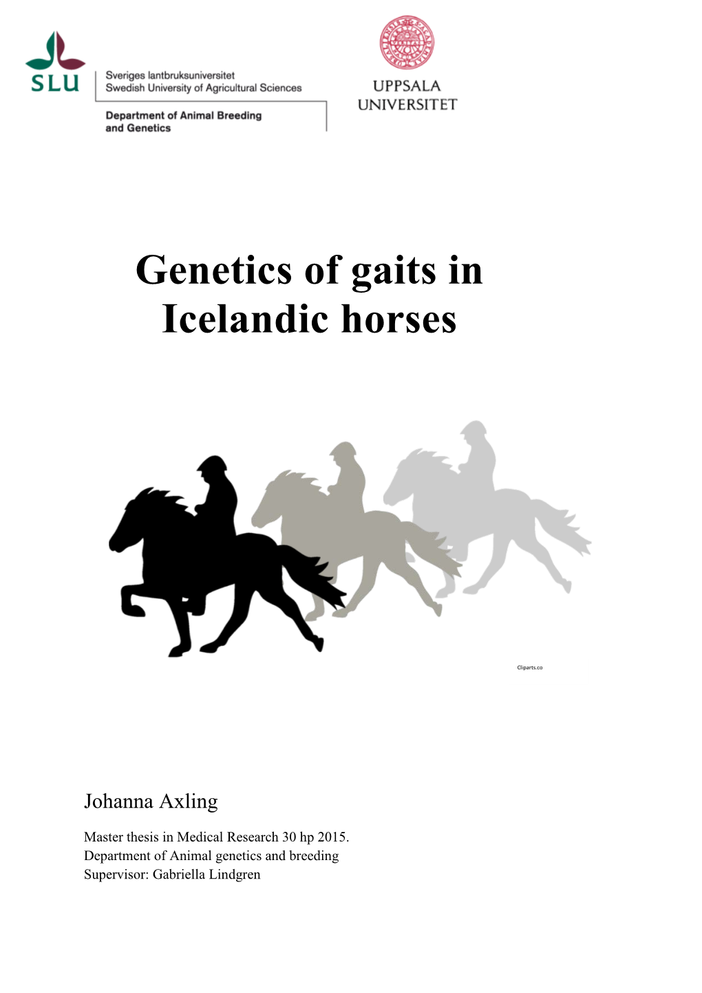 Genetics of Gaits in Icelandic Horses