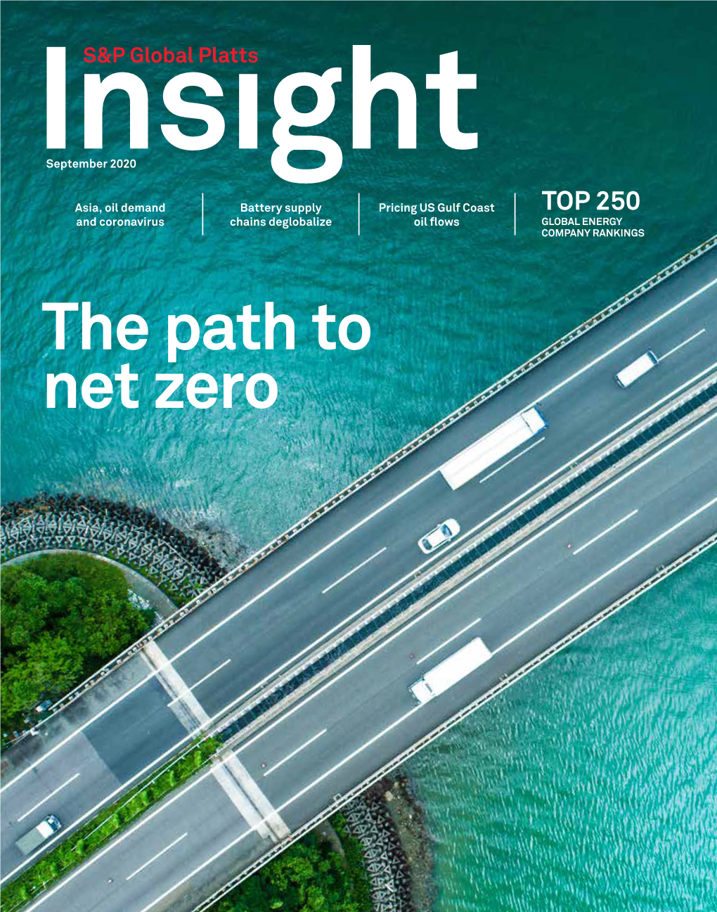 The Path to Net Zero Insight