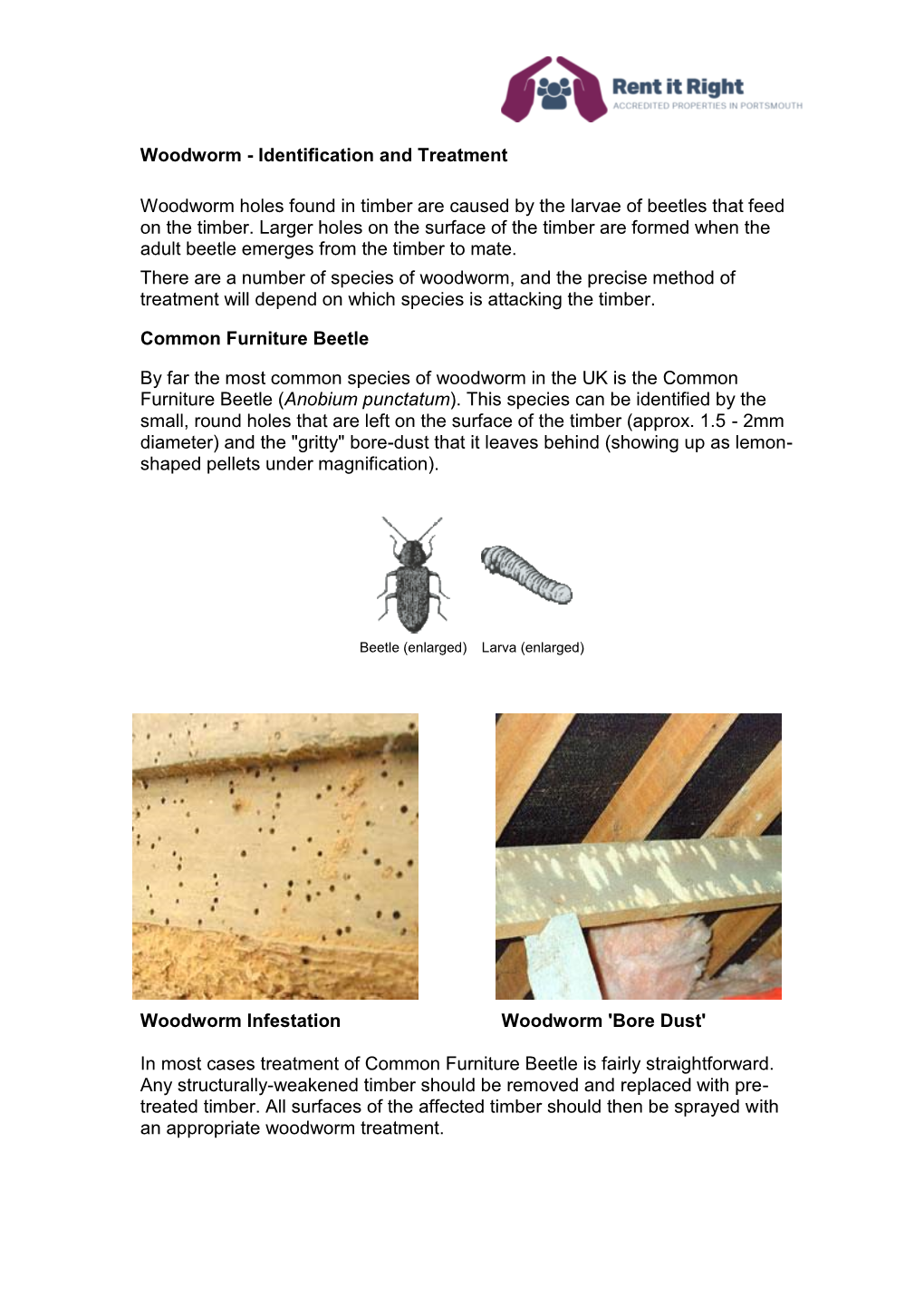 Woodworm - Identification and Treatment