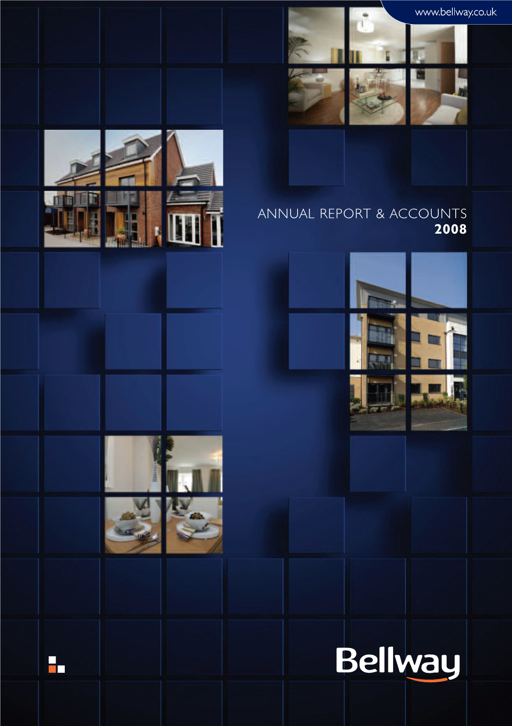 Annual Report & Accounts 2008