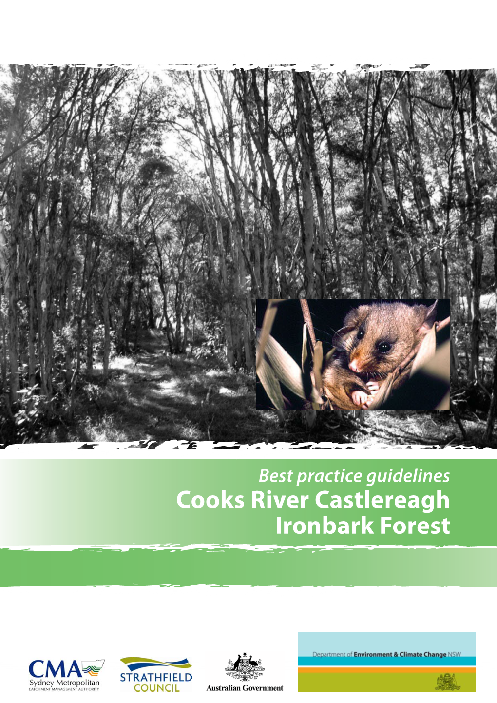 Cooks River Castlereagh Ironbark Forest