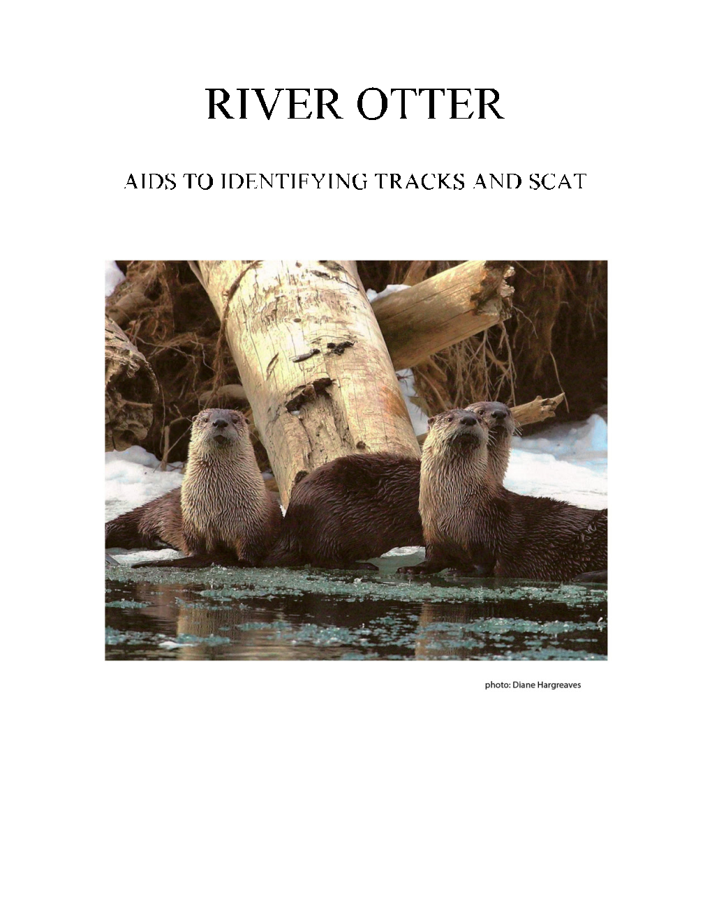 Otter Handout in One File 30