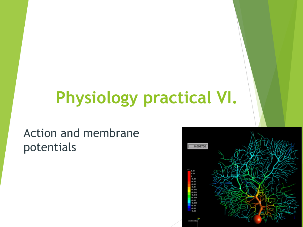 Action Potential, the Membrane Becomes Temporaly Premeabile for Cations and Anions, So They Neutralise Each Other, and Membrane Potential Becomes Approx