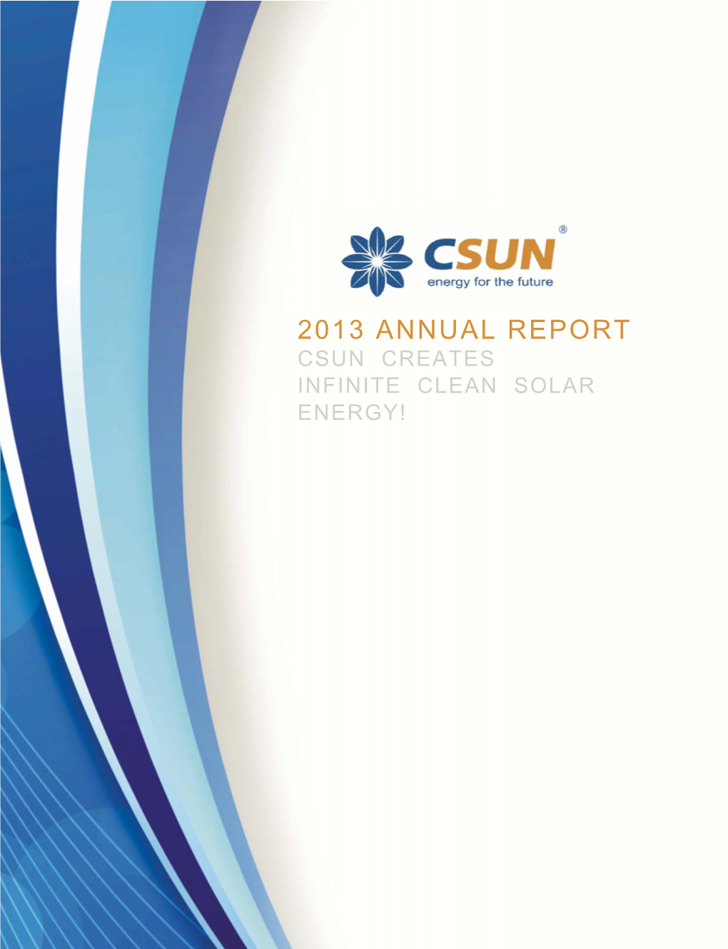 CSUN 2013 Annual Report.Pdf