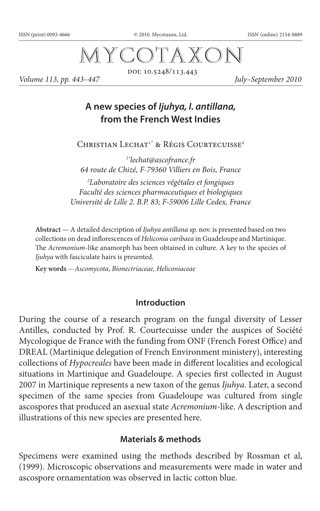 A New Species of &lt;I&gt;Ijuhya, I. Antillana&lt;/I&gt;, from the French West Indies