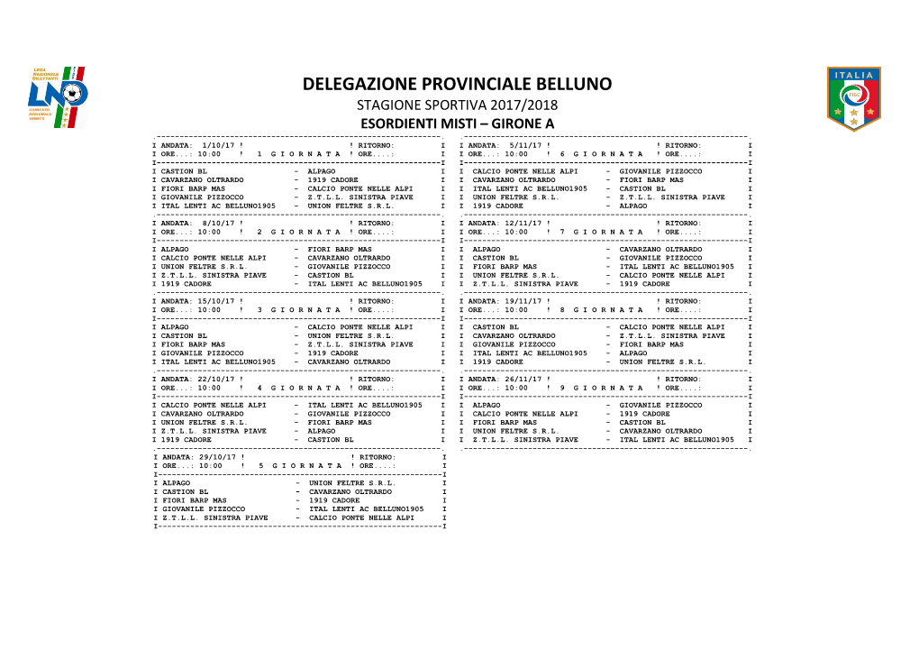 Delegazione Provinciale Belluno Stagione Sportiva 2017/2018 Esordienti Misti – Girone a