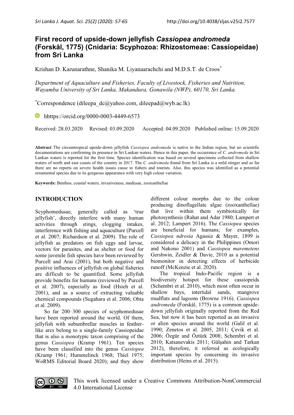 First Record of Upside-Down Jellyfish Cassiopea Andromeda (Forskål, 1775) (Cnidaria: Scyphozoa: Rhizostomeae: Cassiopeidae) from Sri Lanka