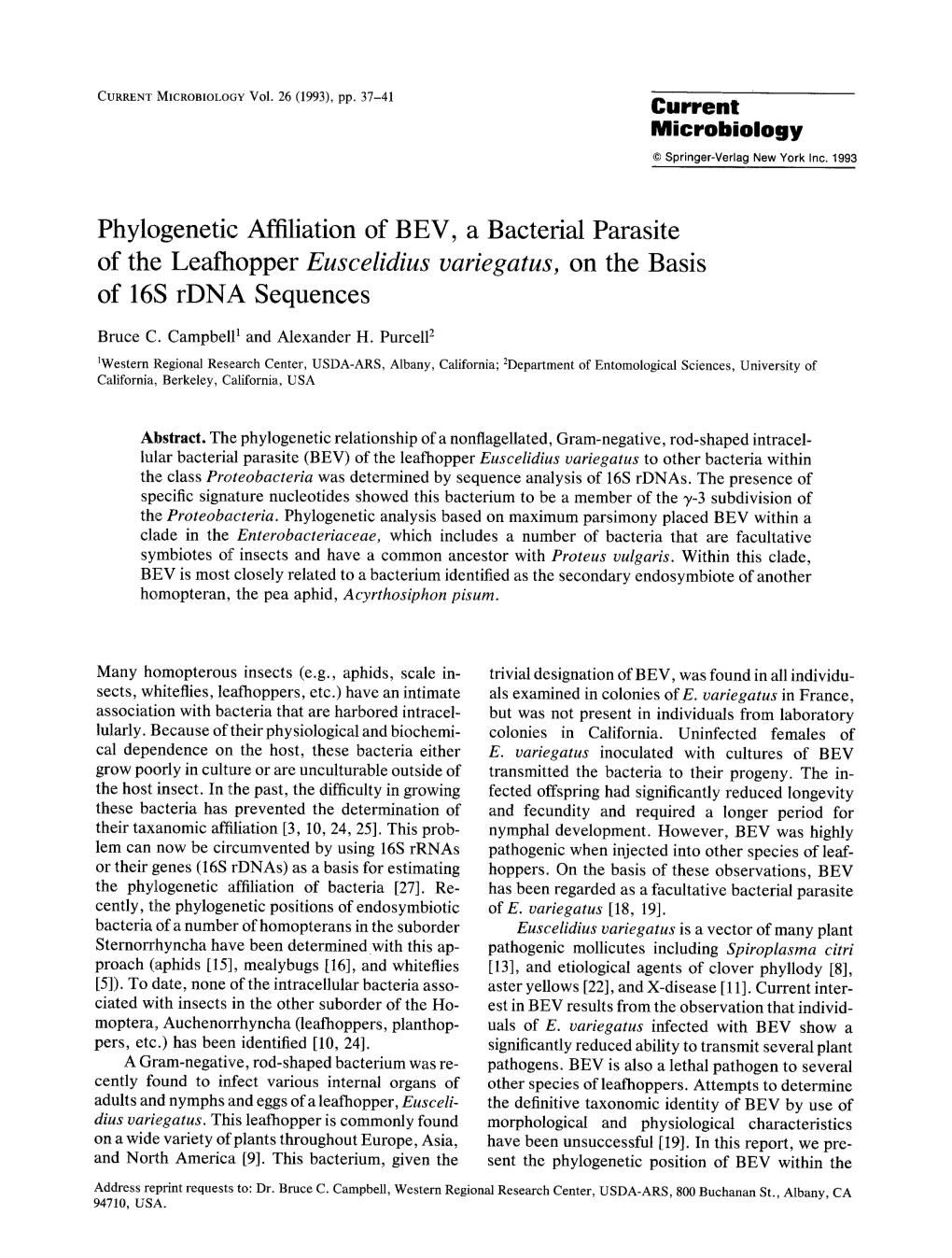 Phylogenetic Affiliation of BEV, a Bacterial Parasite of the Leafhopper Euscelidius Variegatus, on the Basis of 16S Rdna Sequences