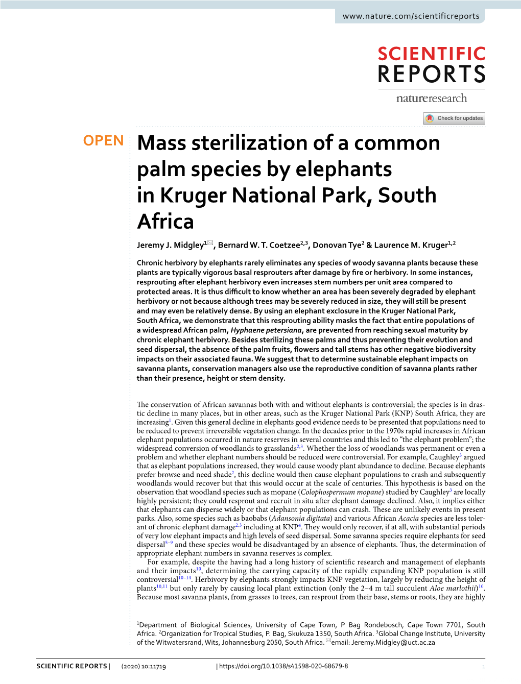 Mass Sterilization of a Common Palm Species by Elephants in Kruger National Park, South Africa Jeremy J