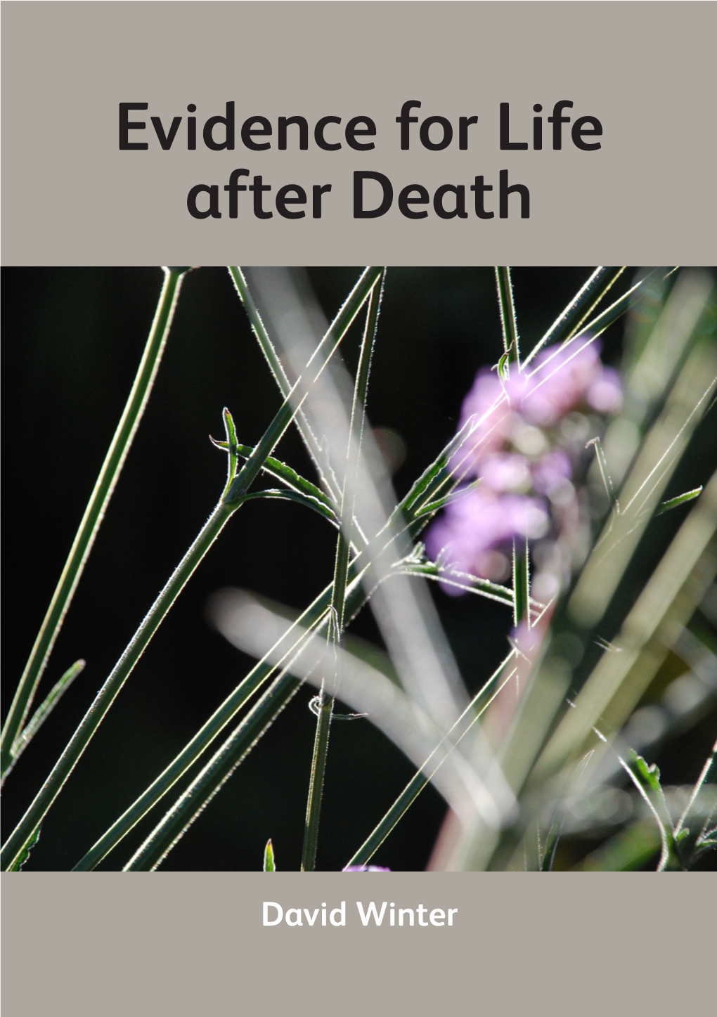 Evidence for Life After Death by David Winter